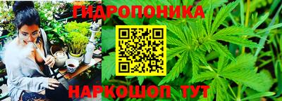 ГАЛЛЮЦИНОГЕННЫЕ ГРИБЫ Лесосибирск