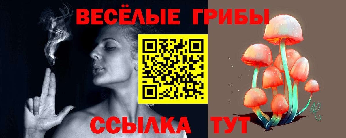 Псилоцибиновые грибы Psilocybine cubensis Городец